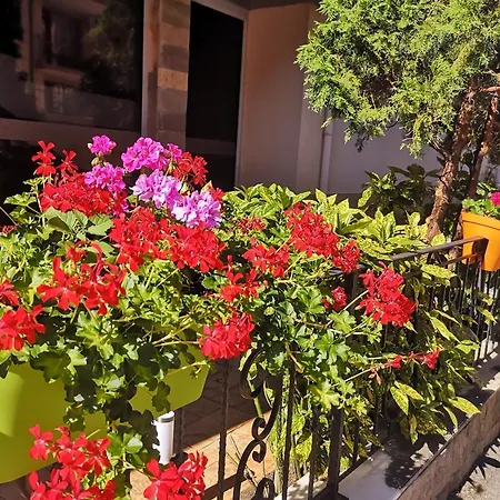 Tropics ホテル 3*