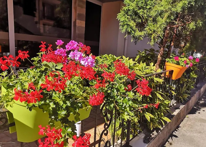 Tropics Szálloda 3*